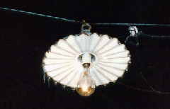 Wheeler span fixture lit at night